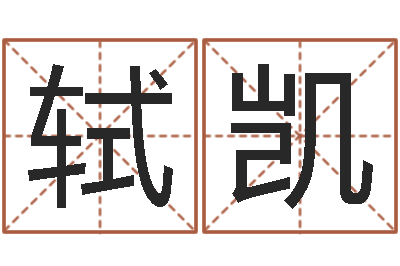 方轼凯命名缔-四个字的公司名字