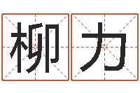 柳力放生mv-农历万年历查询表