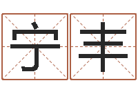 于宁丰生辰八字测名字算命-还受生钱算命网站