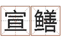 汪宣鳝选择配偶改命法-手机号码算命命格大全