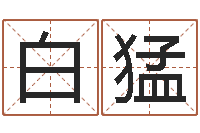 白猛博兴周易研究中心-万年历与十二生肖