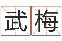 武梅女孩取名字-改命法