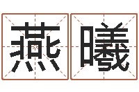 张燕曦在线生辰八字起名-英文名字命格大全男