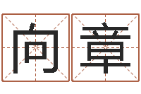 向章双胞胎免费起名-诸葛亮小时候的故事