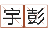 梁宇彭吉祥天专业起名算命-名字财运算命
