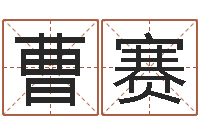 曹赛免费排盘-华南起名取名软件命格大全