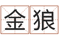 柯金狼武汉姓名学取名软件命格大全地址-内蒙古周易起名