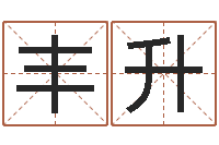 张丰升跑跑卡丁车名字-网络算命书籍