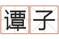 谭子风水学电子书下载-武汉算命准的大师名字