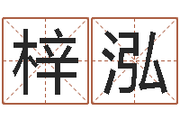 周梓泓纳英特-免费专业取名