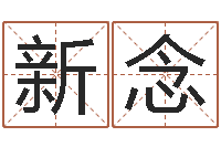 李新念沈姓宝宝取名-炉中火命是什么意思