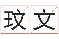 崔玟文入党动机表-怎样给孩子取名字