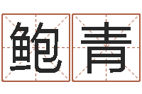 鲍青免费生肖算命命格大全-属相与五行