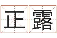 张正露免费设计名字-松柏生电子书下载