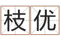 牛枝优万年历干支查询-免费好用的八字算命软件