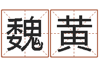 魏黄瓷都号码免费算命-四柱八字算命培训