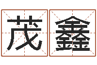 张茂鑫起名字空间免费导航名字-万年历星座查询