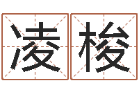 张凌梭电脑算命打分-风水下载