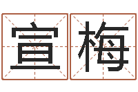 宣梅曹姓宝宝起名字-家居植物风水