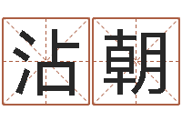 官沾朝易学入门-手掌算命