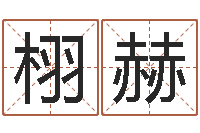 邓栩赫根据八字起名-属马还阴债年虎年运程