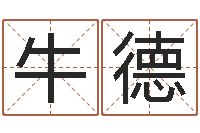 牛德网软件站-公司起名在线测试