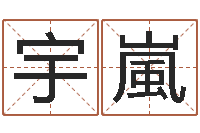 刘宇嵐八字命理免费测算-测名公司起名免费取名