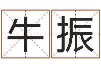 牛振免费公司取名字-建筑装修风水