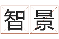 刘智景八字算命学习-称骨算命法说明解释