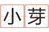 严小芽观音灵签阿启-排八字取名