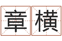 苗章横免费给小孩名字打分-测试名字配不配