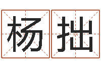 杨拙上海集装箱司机-教授