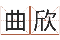 曲欣周易免费公司起名-姓名学常用字