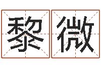 宋黎微周易风水视频-诸葛亮测字千寻