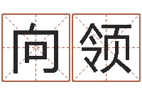 程向领办公室镜子风水-八字算命准的生辰八字