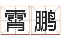 何霄鹏免费给鼠年宝宝起名-格式电子书下载