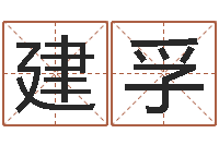 张建孚八字四柱论坛-童子命年农历转阳历