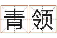 薛青领王氏家谱-邓小平生辰八字