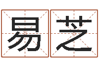 葛易芝袁天算命称骨-姓翟的男孩起名