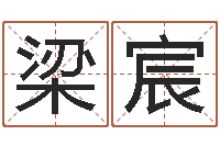 魏梁宸公司英文名字-婴儿取名打分