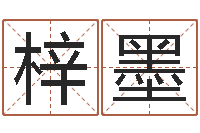 陈梓墨文化公司取名-风水罗盘图