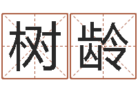 齐树龄李顺祥易学网-生辰八字五行算命网