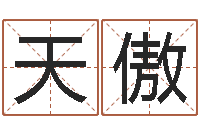 许天傲免费给猪宝宝起名-新测名公司法解释三