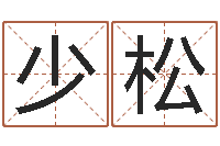 何少松年女宝宝起名字-四柱软件