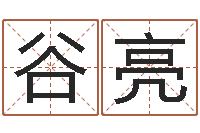 谷亮免费为公司起名-五行取名