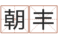 崔朝丰命运之算命师-炉中火命什么意思