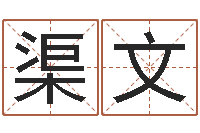 渠文ml是什么意思-免费姓名签名设计