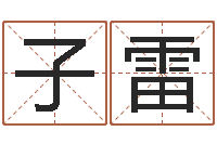 刘子雷四柱预测学讲座-有关风水的书