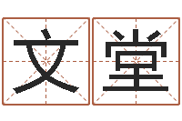 崔文堂测名公司起名测分-自己