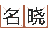 任名晓诸葛亮事迹简介-为名字打分